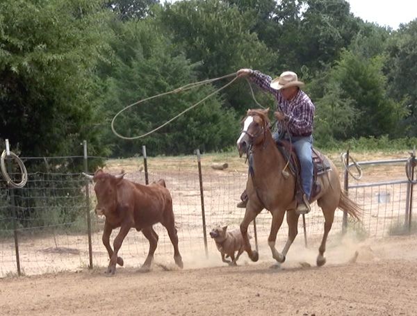 Circle D Ranch