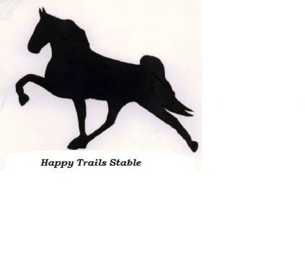 happy trails spring horse